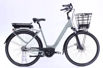 Crescent Elvira - 51 cm