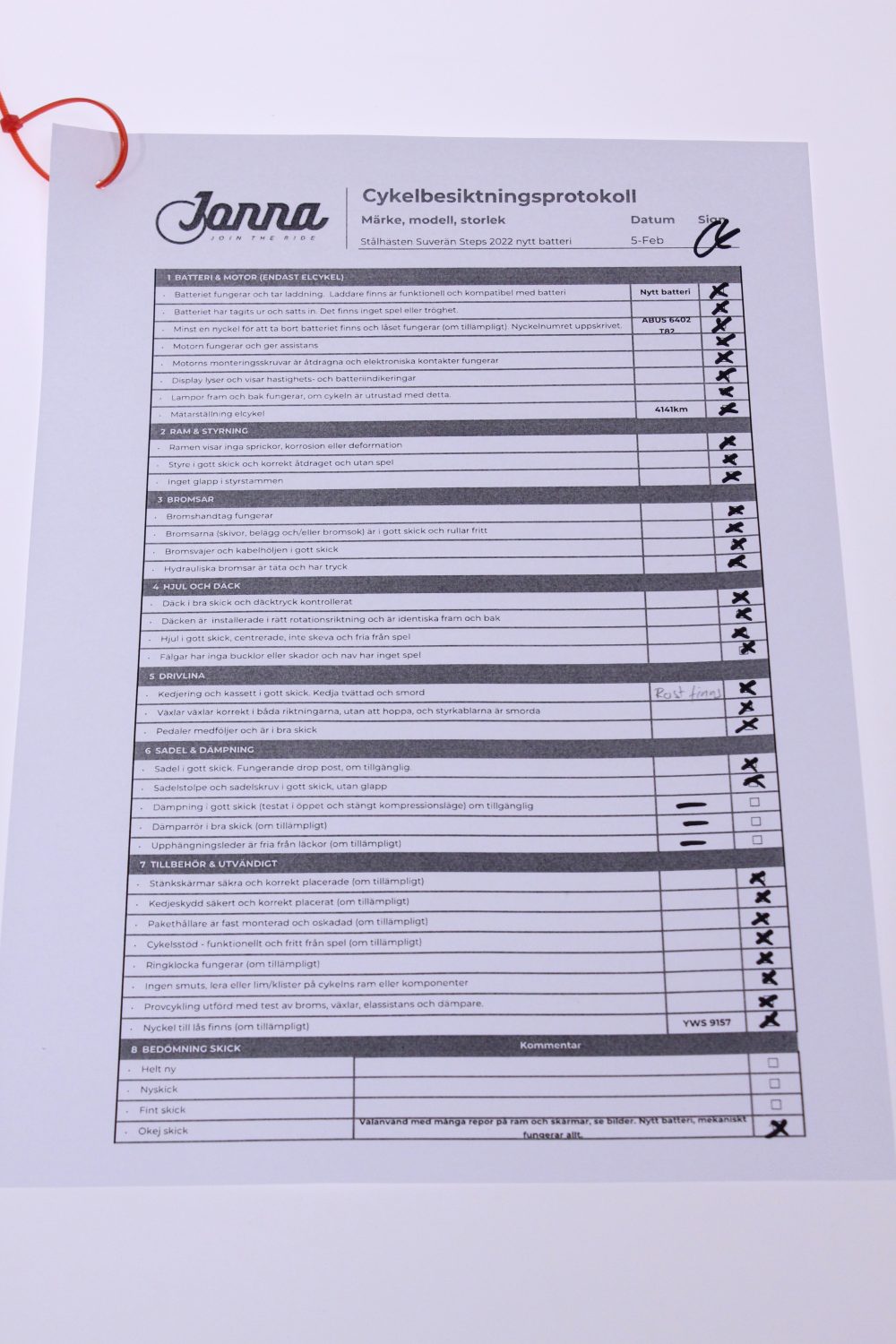 Stålhästen Suverän Steps 2022 - 54cm - Image 19