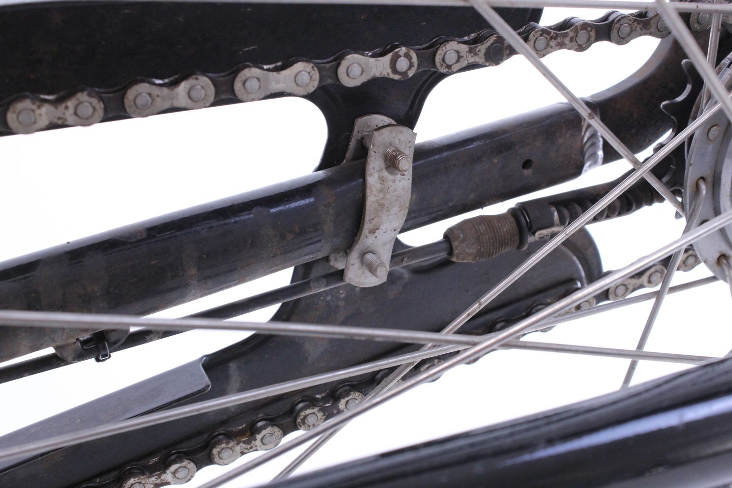 Stålhästen Suverän Steps 2022 - 54cm - Image 16