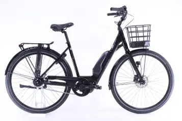 Ecoride Ambassador AXS M-5