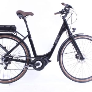 Kronan Modig - 51 cm