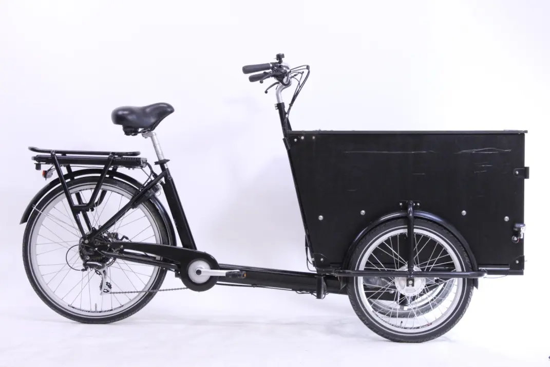 Babboe Pro Trike E - 300 liter