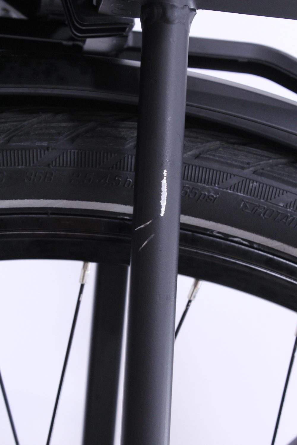 Ecoride Ambassador 4 - XLarge - Bild 2